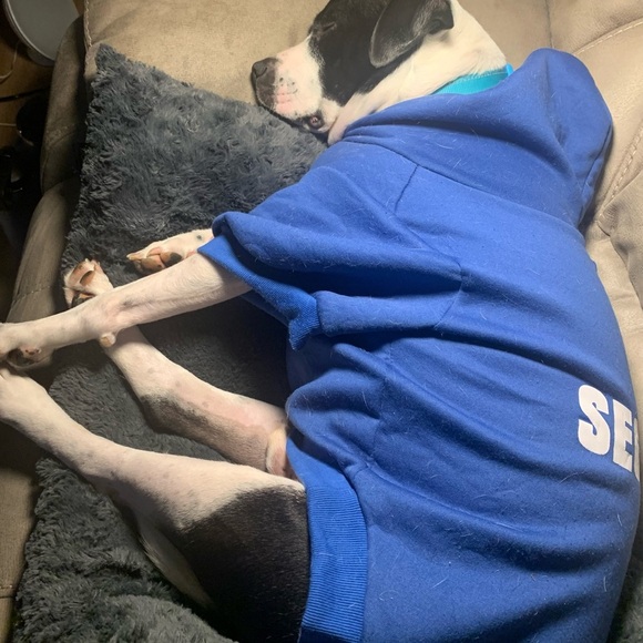 BINGPET Blue Security Dog Hoodie Sweatshirt, Soft Fleece, [Size Large] NWOT - Picture 6 of 7